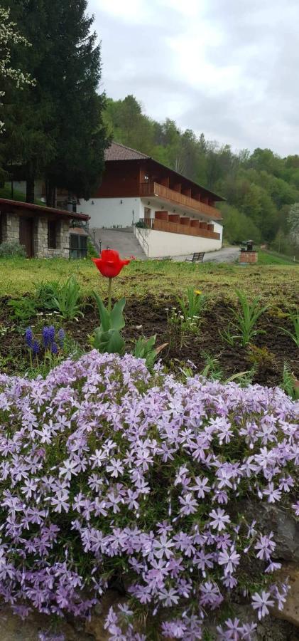 B&B Zlatna Nit Bosanska Krupa Bagian luar foto