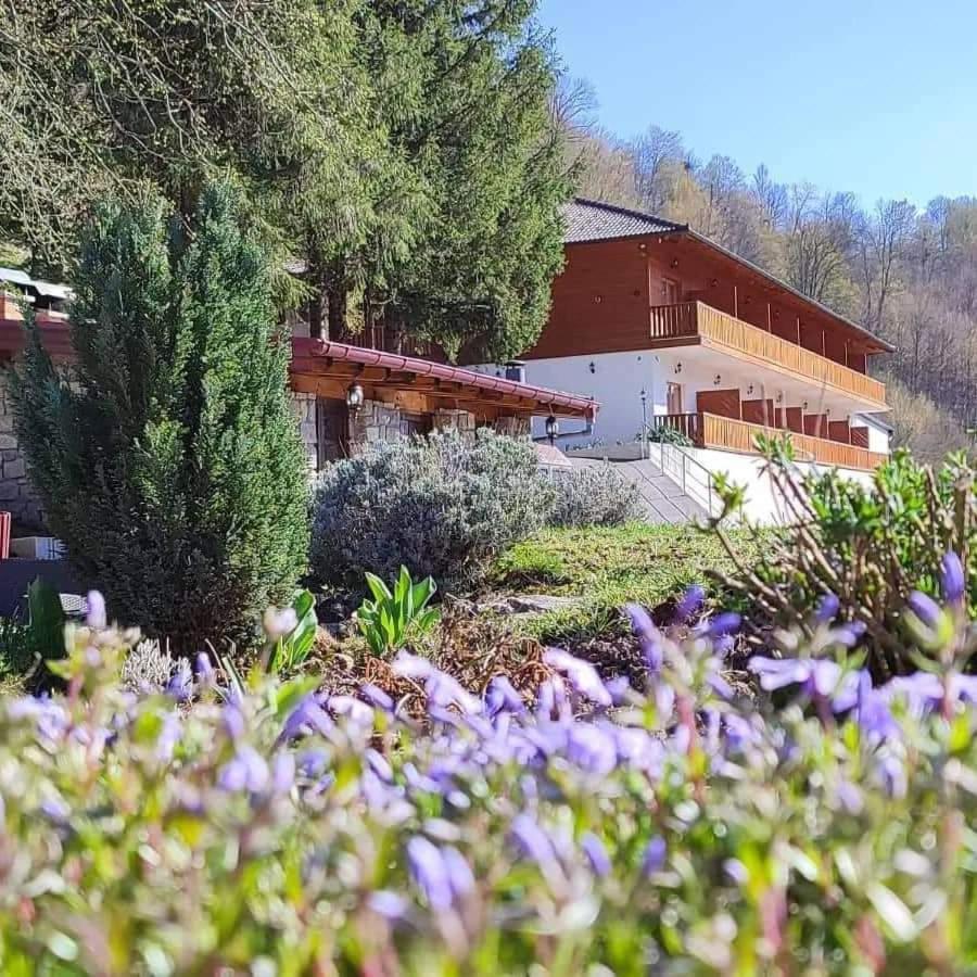 B&B Zlatna Nit Bosanska Krupa Bagian luar foto